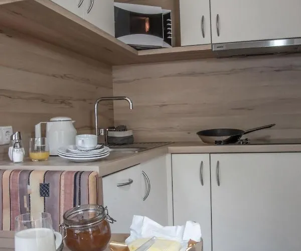 塔尼娅度假屋 *